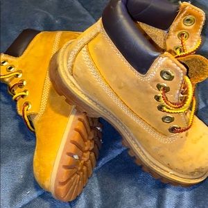 Timberland Wheatz